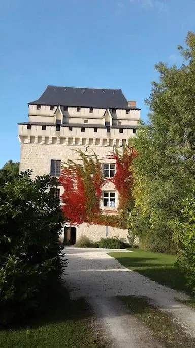 Chateau Tour Du XIII Siecle Gazaupouy 0*,