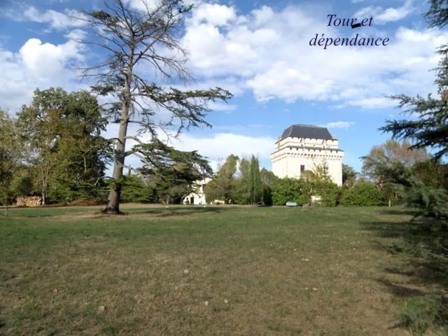 Chateau Tour Du XIII Siecle Gazaupouy Francia