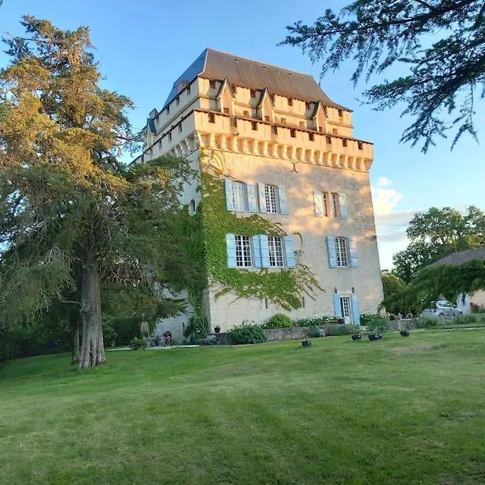 Chateau Tour Du XIII Siecle Gazaupouy